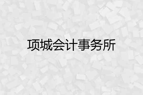 项城会计事务所