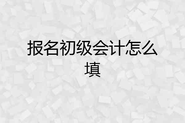 报名初级会计怎么填