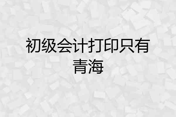 初级会计打印只有青海
