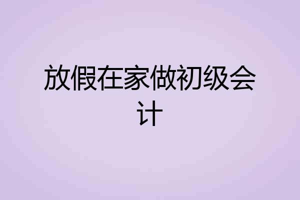 放假在家做初级会计