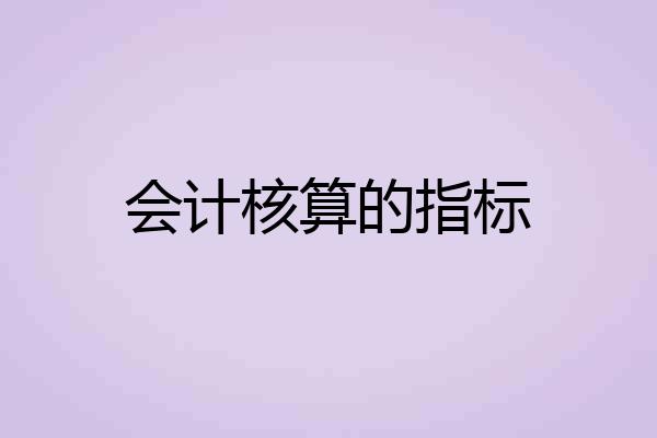 会计核算的指标