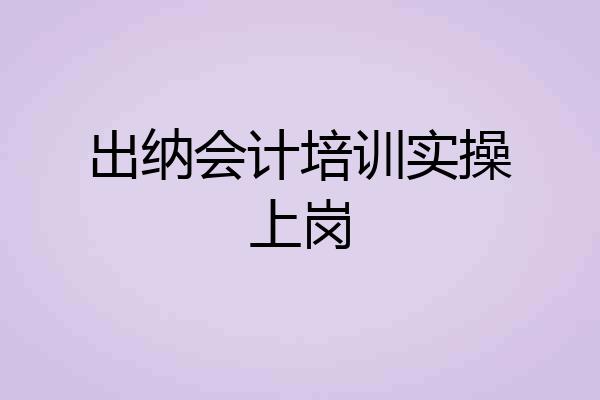 出纳会计培训实操上岗
