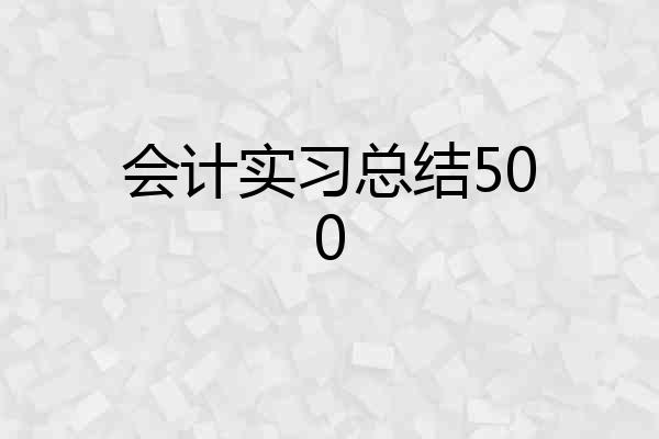 会计实习总结500
