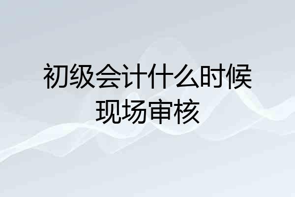 初级会计什么时候现场审核