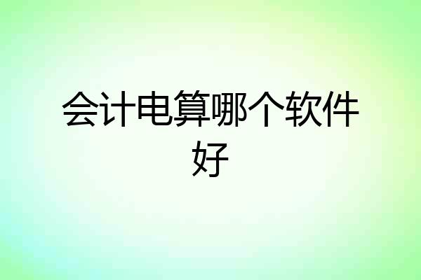 会计电算哪个软件好