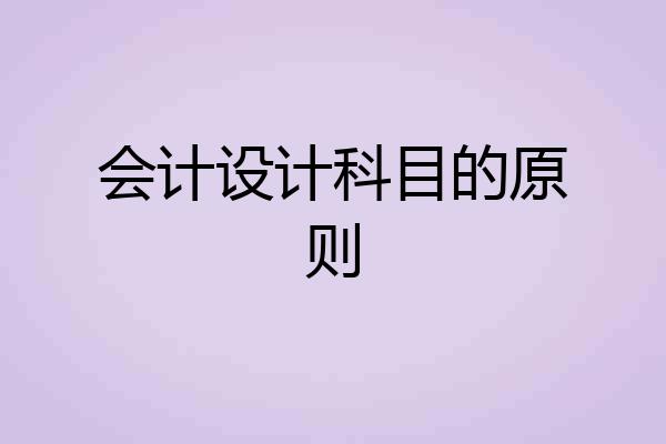 会计设计科目的原则