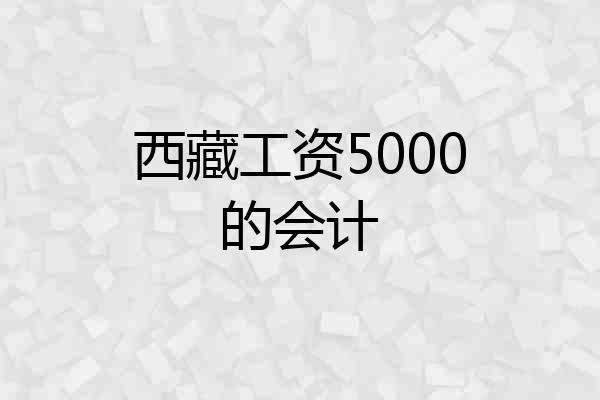 西藏工资5000的会计