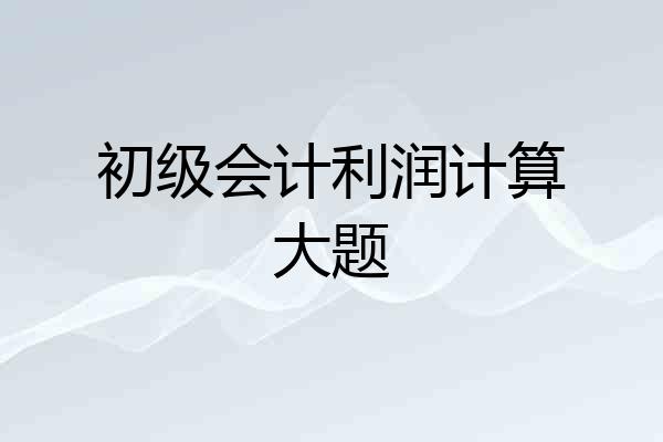 初级会计利润计算大题