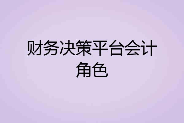 财务决策平台会计角色