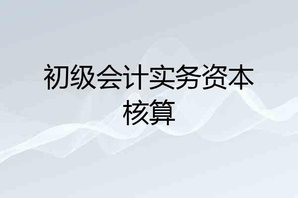 初级会计实务资本核算
