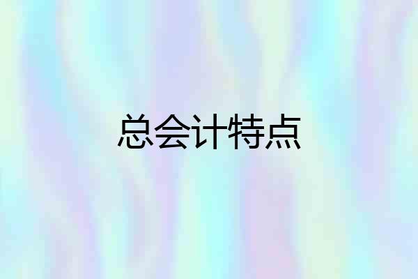 总会计特点