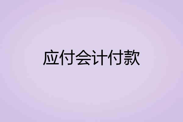 应付会计付款