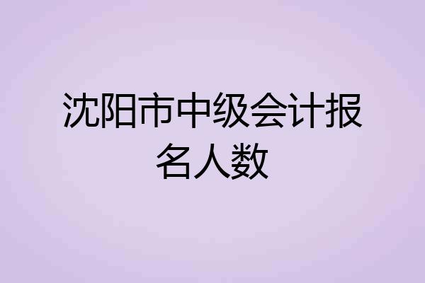沈阳市中级会计报名人数
