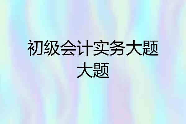 初级会计实务大题大题