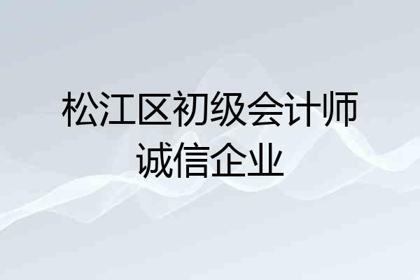 松江区初级会计师诚信企业