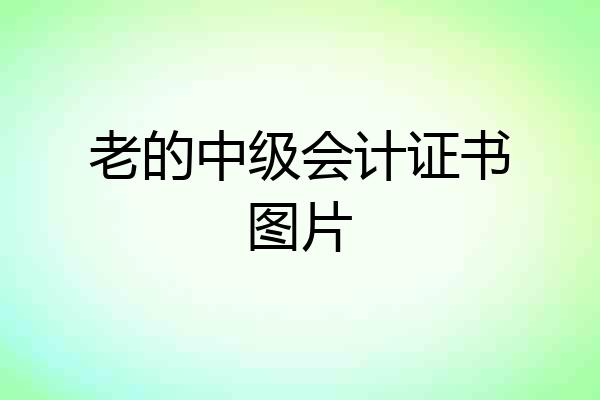 老的中级会计证书图片