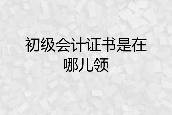 初级会计证书是在哪儿领