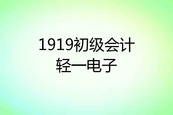 1919初级会计轻一电子