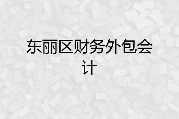 东丽区财务外包会计