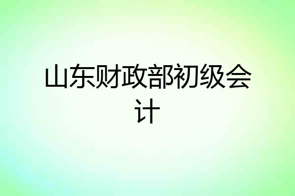 山东财政部初级会计
