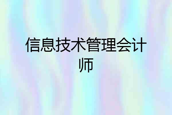 信息技术管理会计师