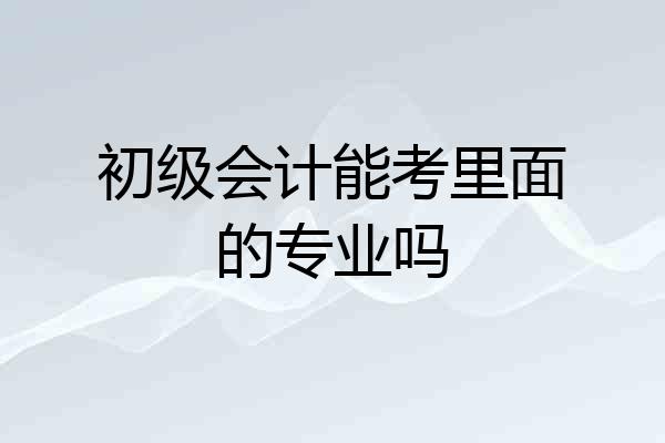 初级会计能考里面的专业吗