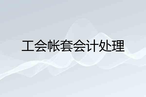 工会帐套会计处理