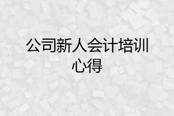 公司新人会计培训心得
