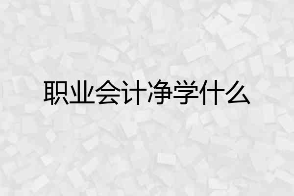 职业会计净学什么