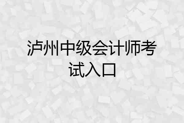 泸州中级会计师考试入口