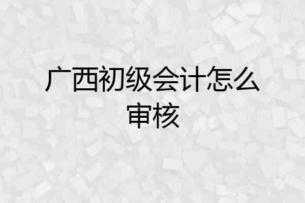 广西初级会计怎么审核