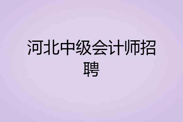 河北中级会计师招聘