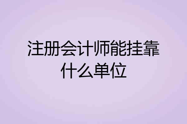注册会计师能挂靠什么单位