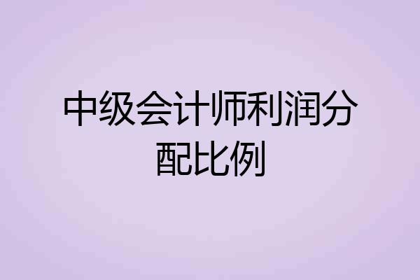 中级会计师利润分配比例