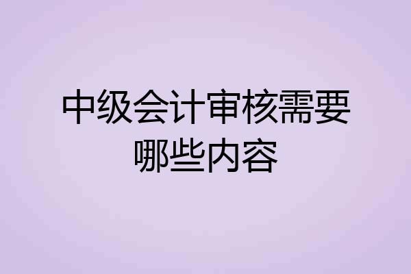 中级会计审核需要哪些内容