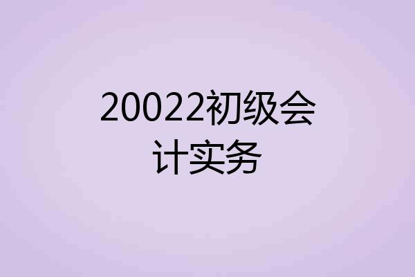 20022初级会计实务