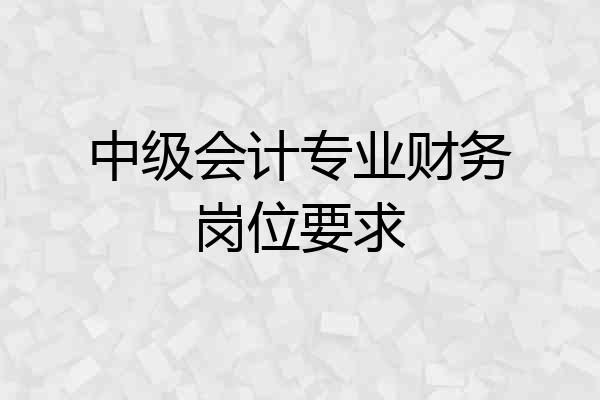 中级会计专业财务岗位要求