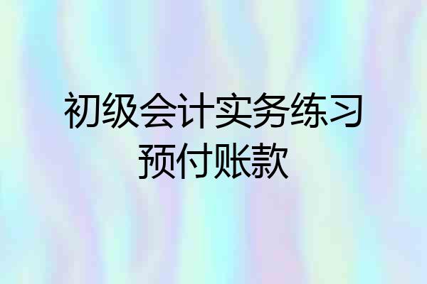 初级会计实务练习预付账款