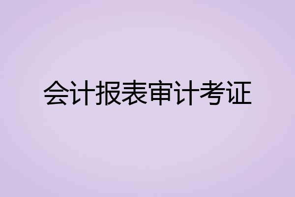 会计报表审计考证