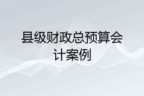 县级财政总预算会计案例