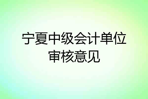 宁夏中级会计单位审核意见