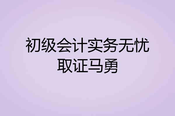 初级会计实务无忧取证马勇