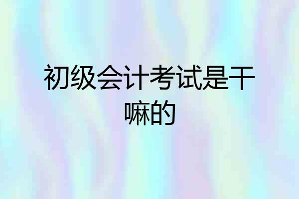 初级会计考试是干嘛的
