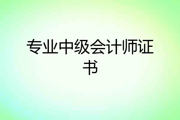 专业中级会计师证书