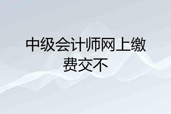 中级会计师网上缴费交不