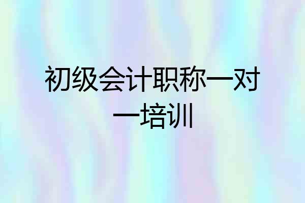 初级会计职称一对一培训