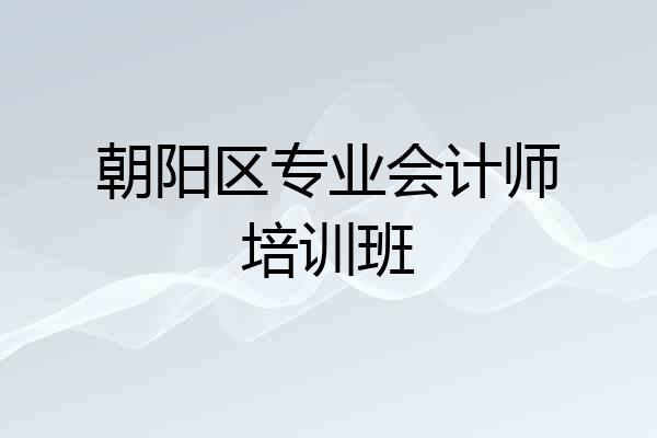 朝阳区专业会计师培训班