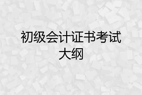 初级会计证书考试大纲