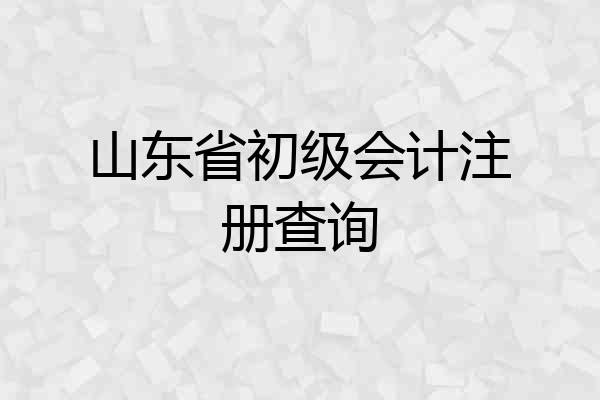 山东省初级会计注册查询