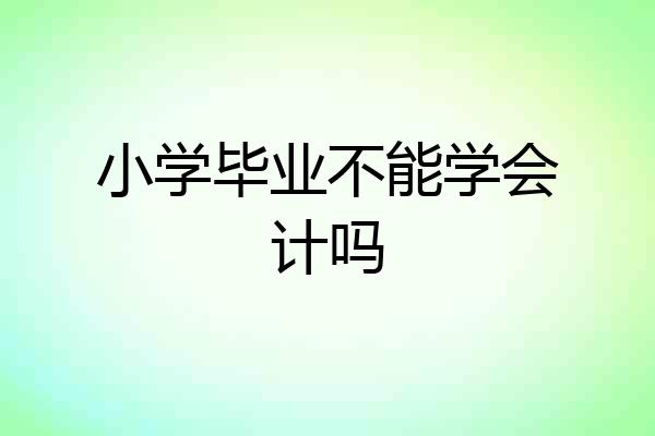 小学毕业不能学会计吗